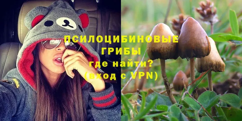 Псилоцибиновые грибы Magic Shrooms  Великие Луки 